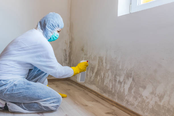Licensed Mold Remediation service in New Hope, MN - WQB Mold Removal
