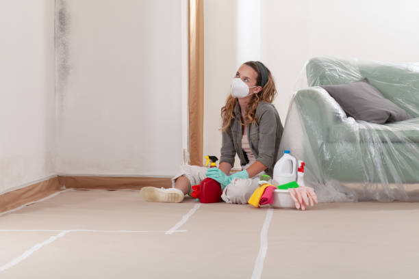 Reliable Mold Remediation contractor in New Hope, MN by WQB Mold Removal